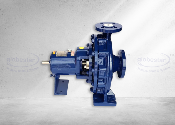 Chemical Process Pump