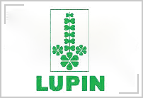 Lupin