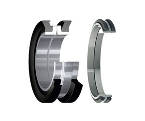 Mechanical Face Seals