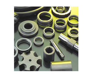 Silicon Carbide Seals