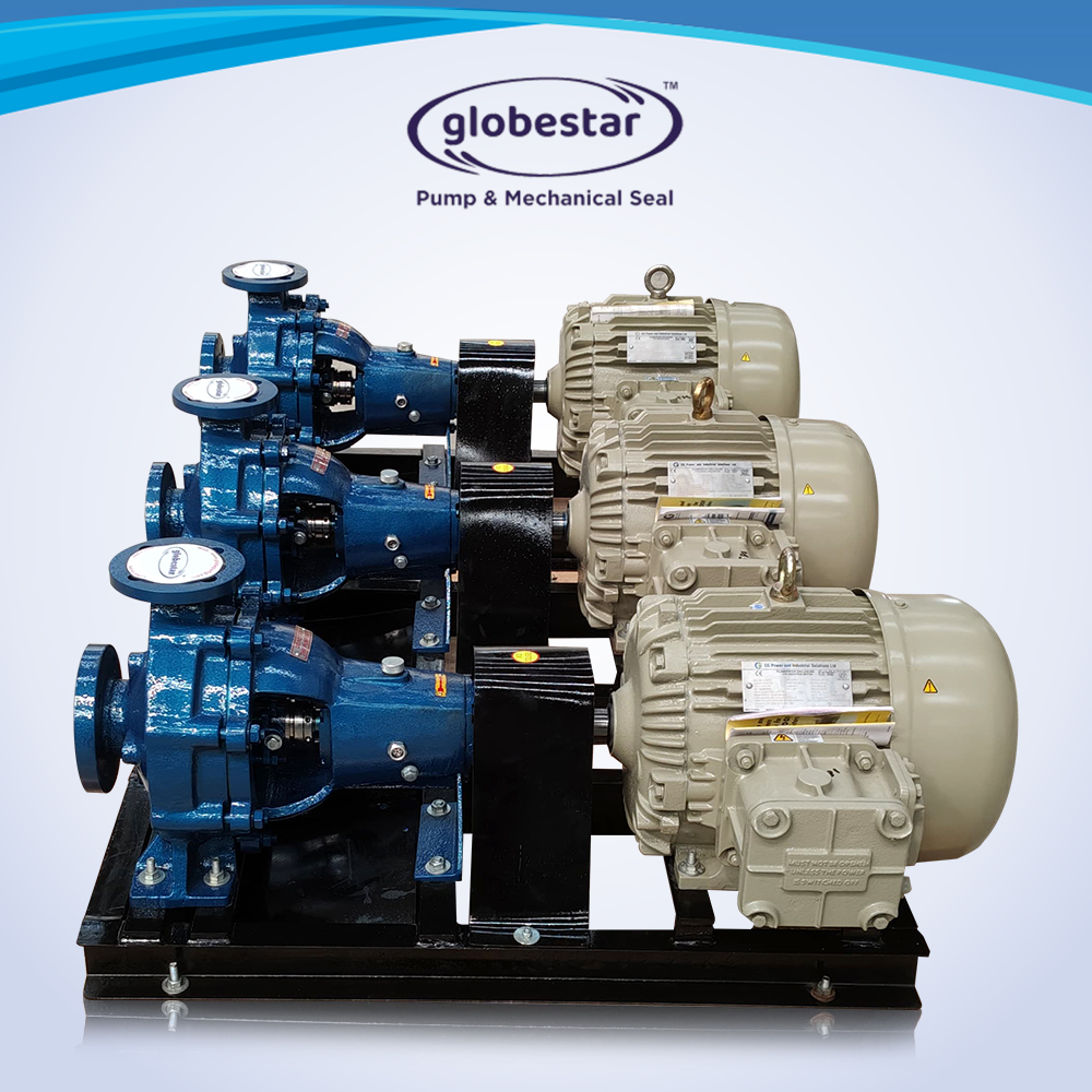 Chemical-Process-Pump-4